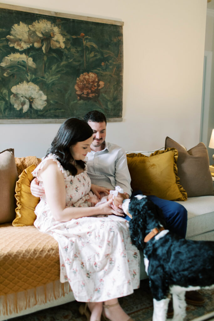 mom and dad holding newborn girl with dog licking her head